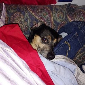 Meet your Posher, Edith